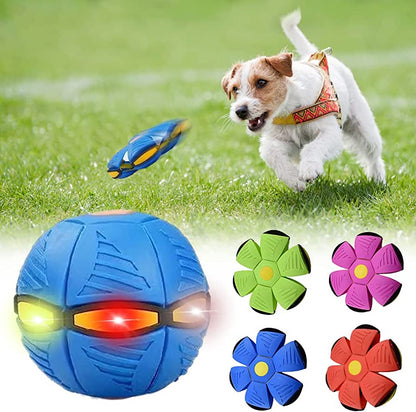 Dog Frisbee — Soft, Durable Fetch Disc for All Breeds