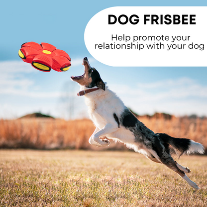 Dog Frisbee — Soft, Durable Fetch Disc for All Breeds