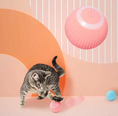 Electric Interactive Cat Ball — Self-Moving, Keeps Cats Active Independently