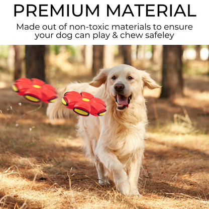 Dog Frisbee — Soft, Durable Fetch Disc for All Breeds