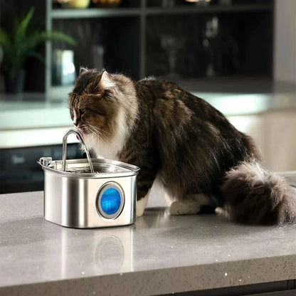 Auto Cat Fountain in brushed stainless steel with a curved spout and blue water-level window, used by a long-haired cat
