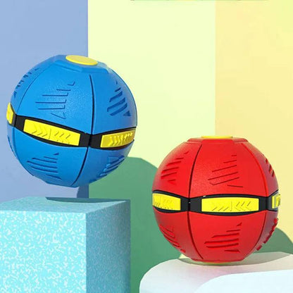Dog Frisbee, blue and red rubber fetch toys with segmented spherical bodies, yellow accents and raised grip grooves.